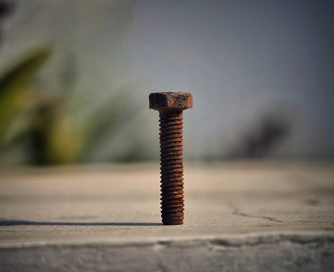 Miscellaneous photography